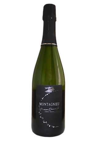 Bonnard Montagnieu